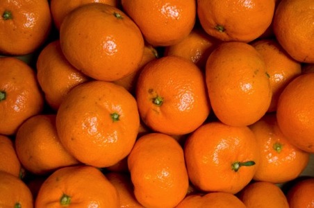 mikan.jpg Mikan