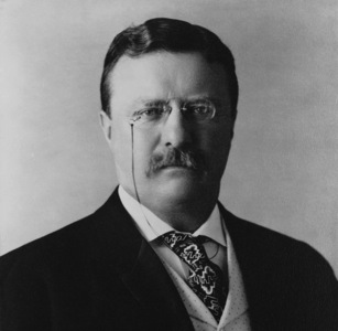 theodore_roosevelt.jpg Theodore roosevelt
